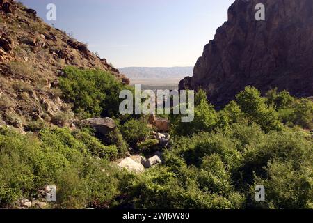 Tahquitz Canyon Trail in der Nähe von Palm Springs in Kalifornien. Stockfoto