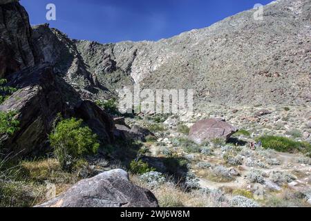 Tahquitz Canyon Trail in der Nähe von Palm Springs in Kalifornien. Stockfoto