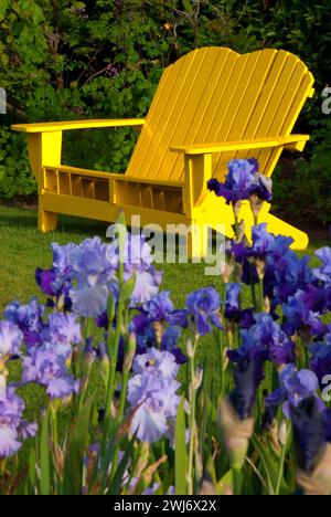 Gartenbank, Schreiners Iris Gardens, Keizer, Oregon anzeigen Stockfoto