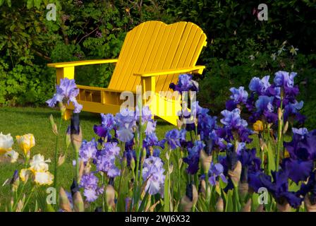 Gartenbank, Schreiners Iris Gardens, Keizer, Oregon Stockfoto