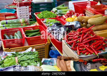 Gangneung City, Südkorea - 29. Juli 2019: Eine lebhafte Gemüseausstellung auf dem Gangneung Jungang Market mit Paprika, Gurken, Salat, Stockfoto