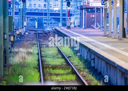 Hauptbahnhof Stuttgart, leerer Bahnsteig mit Signalanlage am Abend. // 11.02.2024: Stuttgart, Baden-Württemberg, Deutschland, Europa *** Hauptbahnhof Stuttgart, leerer Bahnsteig mit Signalanlage am Abend 11 02 2024 Stuttgart, Baden Württemberg, Deutschland, Europa Stockfoto