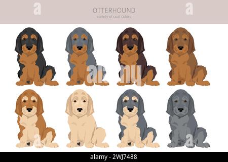 Otterhound Welpen Clipart. Verschiedene Posen, Fellfarben gesetzt. Vektorabbildung Stock Vektor
