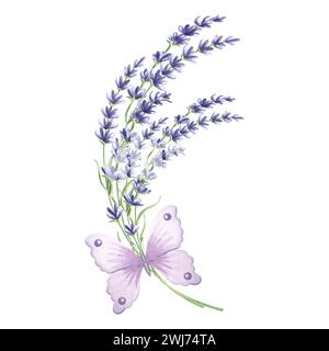 Lavendelblumenzweig mit violettem Schmetterling, Aquarellillustration. Isolierter handgezeichneter provenzalischer Blumenstrauß. Botanische Vintage-Zeichnung templ Stockfoto