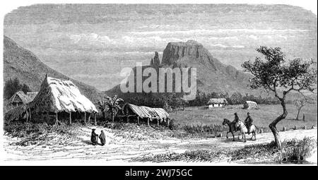 Früher Blick auf das Bamboo Village im Bezirk Rivière Noire oder Black River District auf Mauritius. Vintage oder historische Gravur oder Illustration 1863 Stockfoto