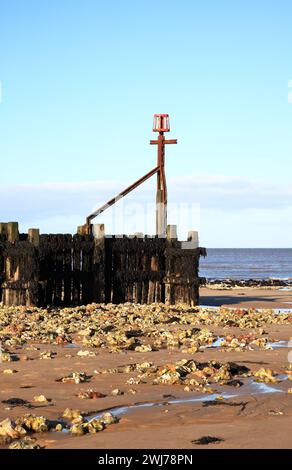 Ein Markierungspunkt am Ende eines ausgedehnten Holzbruchs wurde bei Ebbe an der Küste von North Norfolk in West Runton, Norfolk, England, Großbritannien, entdeckt. Stockfoto