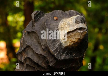 Motorsäge Art Bear, Willamette Hatchery, Oakridge, Oregon Stockfoto