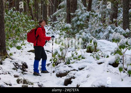 Pamelia Lake Trail im Winter, Mt. Jefferson Wilderness, Willamette National Forest, Oregon Stockfoto