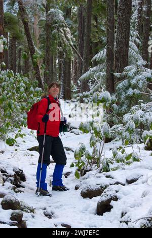 Pamelia Lake Trail im Winter, Mt. Jefferson Wilderness, Willamette National Forest, Oregon Stockfoto