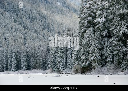 Pamelia See im Winter, Mt Jefferson Wildnis, Willamette National Forest, Oregon Stockfoto