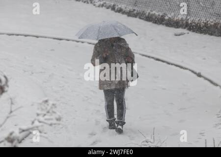 New York City, NY, USA. Februar 2024. Schnee fiel und sammelte sich in der Stadt Jersey City im Bundesstaat New Jersey an diesem Dienstag, den 13. Ab Ende Februar wird über Teilen des Nordostens der USA mit starkem Schneefall gerechnet, wobei einige Gebiete bis zu 5 cm Schnee pro Stunde bekommen, so die Wettervorhersage des National Weather Service. (Kreditbild: © William Volcov/ZUMA Press Wire) NUR REDAKTIONELLE VERWENDUNG! Nicht für kommerzielle ZWECKE! Stockfoto
