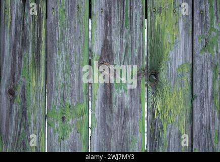Alte Holzbretter mit abblätternder grüner Farbe. Holzstruktur. Stockfoto