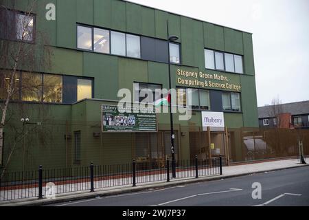 Mulberry Stepney Green Maths Computing and Science College Sixth Form, wo Prop Palestine Flaggen direkt vor dem Eingang in London gehängt wurden Stockfoto