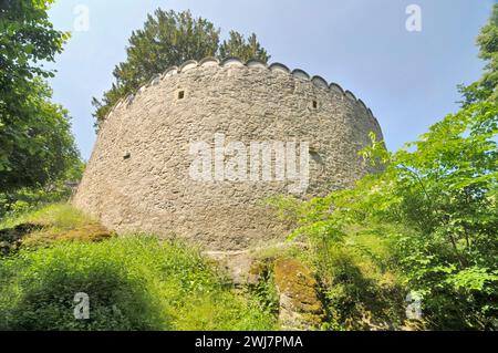 Schloss Chojnik oberhalb der Stadt Sobieszów im Südwesten Polens Stockfoto