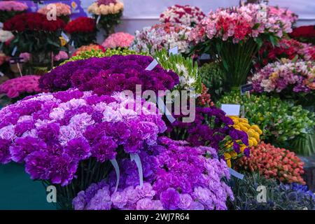 Nelken und andere Blumen in exotischen Farben in riesigen Blumensträußen. Blaue und violette Nelken moderner Sorten. Blumengeschäft. Stockfoto