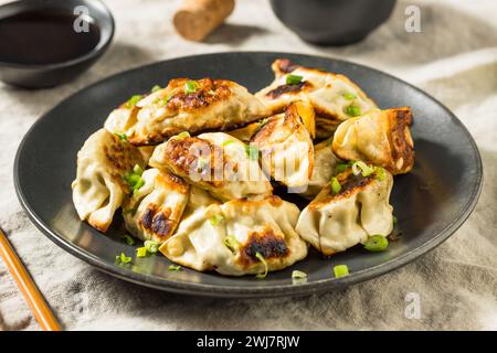 Asiatische Knödeltopf Aufkleber Gyoza mit Sojasauce Stockfoto