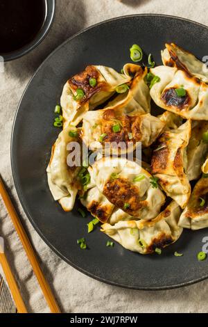 Asiatische Knödeltopf Aufkleber Gyoza mit Sojasauce Stockfoto