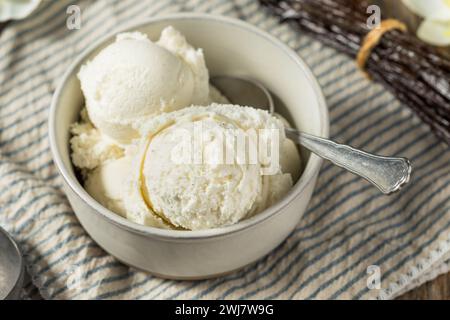 Süßes hausgemachtes Eis aus Vanillesohnen in einer Schüssel Stockfoto