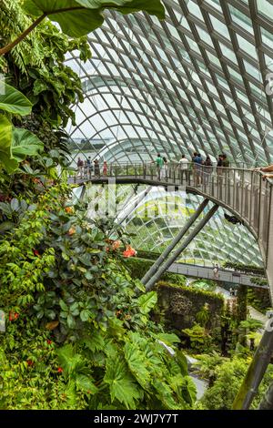 Der Cloud Forest at Gardens by the Bay ist eine der bekanntesten Attraktionen in Singapur. Stockfoto