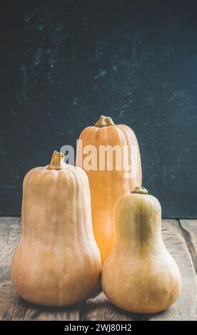 Kürbiskuchen Gewürze und Herbstdekor. Thanksgiving-Feiertag. Kürbis kochen. Vegetarische Herbstsuppe. Herbstkomposition aus Kürbis und Herbstblättern Stockfoto