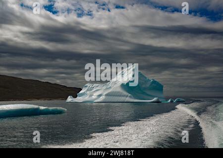 Boot vorbei an Eisbergen in einem Fjord, Qaqortoq, Grönland, Dänemark Stockfoto