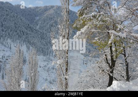 Schneefall in Khan-Bildern Stockfoto