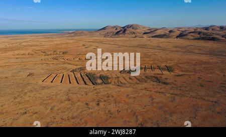 Halbwüste in der Nähe von Tindaya, Fuerteventura, Kanarischen Inseln, Spanien Stockfoto