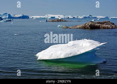 Eisberg mit Seevögeln, Felsen im Fjord, Ilulissat, Disko Bay, Dänemark, Grönland Stockfoto