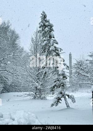 Bloomfield, CT, USA. Februar 2024. Der Wintersturm Lorraine bringt fast einen Fuß Schnee über Connecticut. (Kreditbild: © Christy Prosser/ZUMA Press Wire) NUR REDAKTIONELLE VERWENDUNG! Nicht für kommerzielle ZWECKE! Stockfoto