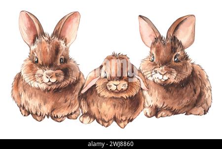 Niedliche Kaninchen im Aquarell. Isolierte Kaninchen, handgezeichnet auf weißem Hintergrund für Kinderprodukte, Weihnachtsdekorationen usw. Stockfoto