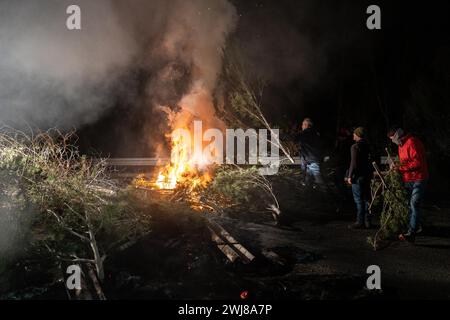 Pontos, Girona, Spanien. Februar 2024. Hunderte katalanischer Bauern blockieren die AP-7 und die N-2 in der Stadt PontÃ³s in der Nähe von Girona und der Grenze zu Frankreich. Während der Blockade haben sie Kiefern abgeholzt und Lagerfeuer gemacht, um die Straße in beide Richtungen zu blockieren. Sie planen, die Nacht zu verbringen. (Kreditbild: © Marc Asensio Clupes/ZUMA Press Wire) NUR REDAKTIONELLE VERWENDUNG! Nicht für kommerzielle ZWECKE! Stockfoto