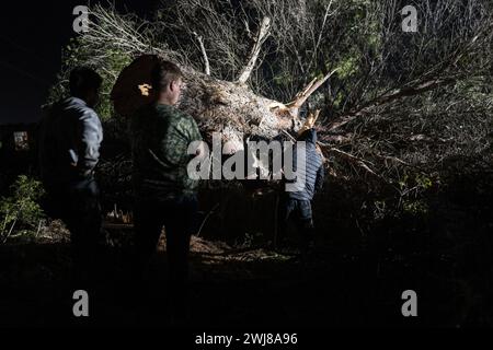 Pontos, Girona, Spanien. Februar 2024. Hunderte katalanischer Bauern blockieren die AP-7 und die N-2 in der Stadt PontÃ³s in der Nähe von Girona und der Grenze zu Frankreich. Während der Blockade haben sie Kiefern abgeholzt und Lagerfeuer gemacht, um die Straße in beide Richtungen zu blockieren. Sie planen, die Nacht zu verbringen. (Kreditbild: © Marc Asensio Clupes/ZUMA Press Wire) NUR REDAKTIONELLE VERWENDUNG! Nicht für kommerzielle ZWECKE! Stockfoto