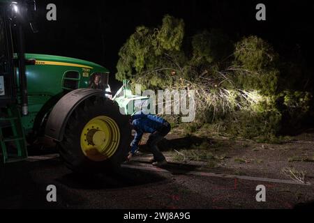 Pontos, Girona, Spanien. Februar 2024. Hunderte katalanischer Bauern blockieren die AP-7 und die N-2 in der Stadt PontÃ³s in der Nähe von Girona und der Grenze zu Frankreich. Während der Blockade haben sie Kiefern abgeholzt und Lagerfeuer gemacht, um die Straße in beide Richtungen zu blockieren. Sie planen, die Nacht zu verbringen. (Kreditbild: © Marc Asensio Clupes/ZUMA Press Wire) NUR REDAKTIONELLE VERWENDUNG! Nicht für kommerzielle ZWECKE! Stockfoto