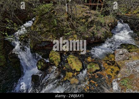 339+ hoher Wasserfluss aus Vevcani-Quellen, die vom Jablanica-Berg herunterfließen und dann durch das Dorf fließen. Vevchani-Nordmazedonien. Stockfoto