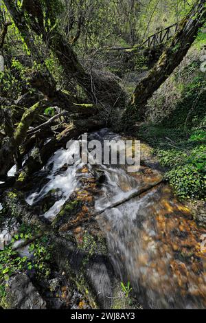 340+ hoher Wasserfluss aus Vevcani-Quellen, die vom Jablanica-Berg herunterfließen und dann durch das Dorf fließen. Vevchani-Nordmazedonien. Stockfoto