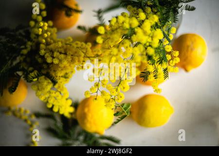 Obersicht auf Mimosa in Vase und Zitronen Stockfoto