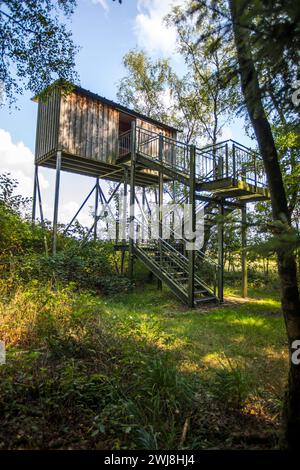 Naturschutzgebiet Dingdener Heide, Heide und an-Moorligen Landschaften, nördlich des Ortes Dingden, gehören zu Hamminkeln, Kulturlandschaft, Beobachtungsturm, NRW, Naturpark hohe Mark Westmünsterland, Naturschutzgebiet Dingdener Heide *** Naturschutzgebiet Dingdener Heide, Heide- und Moorlandschaften, nördlich von Dingden, Teil von Hamminkeln, Kulturlandschaft, Aussichtsturm, NRW, Naturpark hohe Mark Westmünsterland, Naturschutzgebiet Dingdener Heide Stockfoto