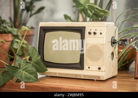 Retro-fernseher in der Nähe im alten Zimmer mit Innenblumen Stockfoto