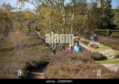 Wanderer in der Westruper Heide, Heidelandschaft bei Haltern am See, Naturpark hohe Mark Westmünsterland, NRW, Deutschland Westruper Heide *** Wanderer in der Westruper Heide, Heidelandschaft bei Haltern am See, Naturpark hohe Mark Westmünsterland, NRW, Deutschland Westruper Heide Stockfoto