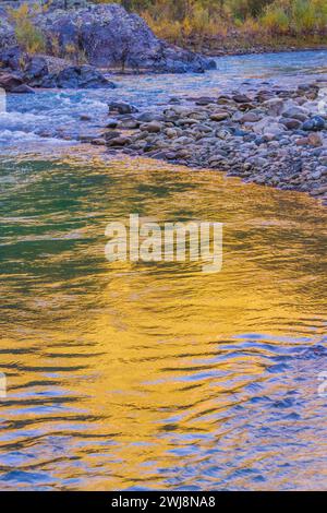 Goldene Reflektionen im Animas River von Aspen Bäumen, die im Herbst Gold und Gelb färben. Stockfoto
