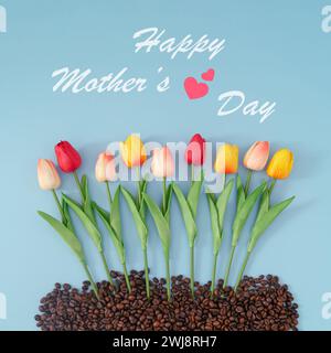 Kreative Komposition mit farbenfrohen Frühlingstulpen und gerösteten Kaffeebohnen auf blauem Hintergrund mit „Happy Mother's Day“-Text. Stockfoto