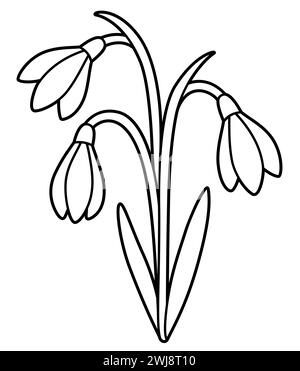 Blumenstrauß von Schneeglöckchen, schwarz-weiße Linienzeichnung. Einfache Zeichentrickumrisse zum Färben, Vektor-ClipArt Illustration. Stock Vektor