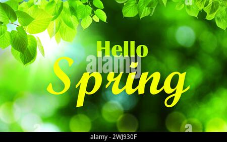 „Hello Spring“-Karte. Schöne Blätter auf grünem Hintergrund, Bokeh-Effekt. Bannerdesign Stockfoto