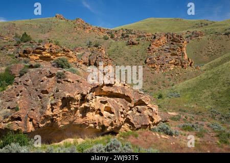 Canyon Aufschlüsse, Leslie Gulch Bereich der kritischen Umweltbewusstsein, Vale Bezirk Bureau of Land Management, Oregon Stockfoto