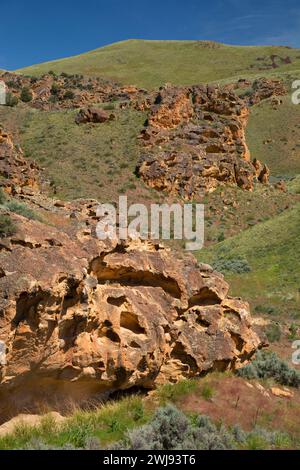 Canyon Aufschlüsse, Leslie Gulch Bereich der kritischen Umweltbewusstsein, Vale Bezirk Bureau of Land Management, Oregon Stockfoto