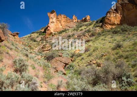 Canyon Aufschlüsse, Leslie Gulch Bereich der kritischen Umweltbewusstsein, Vale Bezirk Bureau of Land Management, Oregon Stockfoto