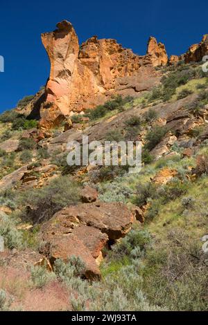 Canyon Aufschlüsse, Leslie Gulch Bereich der kritischen Umweltbewusstsein, Vale Bezirk Bureau of Land Management, Oregon Stockfoto