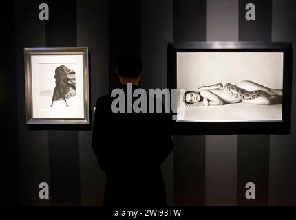 New York, Usa. Februar 2024. Ein Kunstwerk mit dem Titel „Nastassja Kinski and the Serpent“ von Richard Avedon wird zusammen mit Fotografien, Kunst, Möbeln, Mode und anderen Sammlerstücken ausgestellt, die am Dienstag als Teil der Sammlung von Sir Elton John Goodbye Peachtree Road im Christie's in New York City verkauft werden. Februar 2024. Foto: John Angelillo/UPI Credit: UPI/Alamy Live News Stockfoto