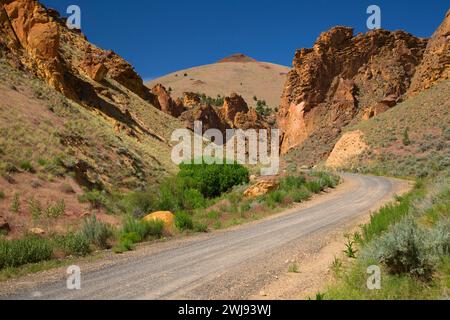 Leslie Gulch Road durch Ausbisse der Schlucht, Leslie Gulch Area of Critical Environmental Concerning, Vale District Bureau of Land Management, Oregon Stockfoto