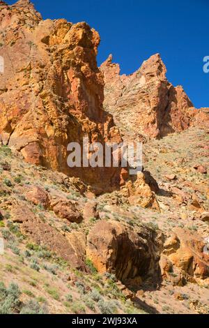 Canyon Aufschlüsse, Leslie Gulch Bereich der kritischen Umweltbewusstsein, Vale Bezirk Bureau of Land Management, Oregon Stockfoto